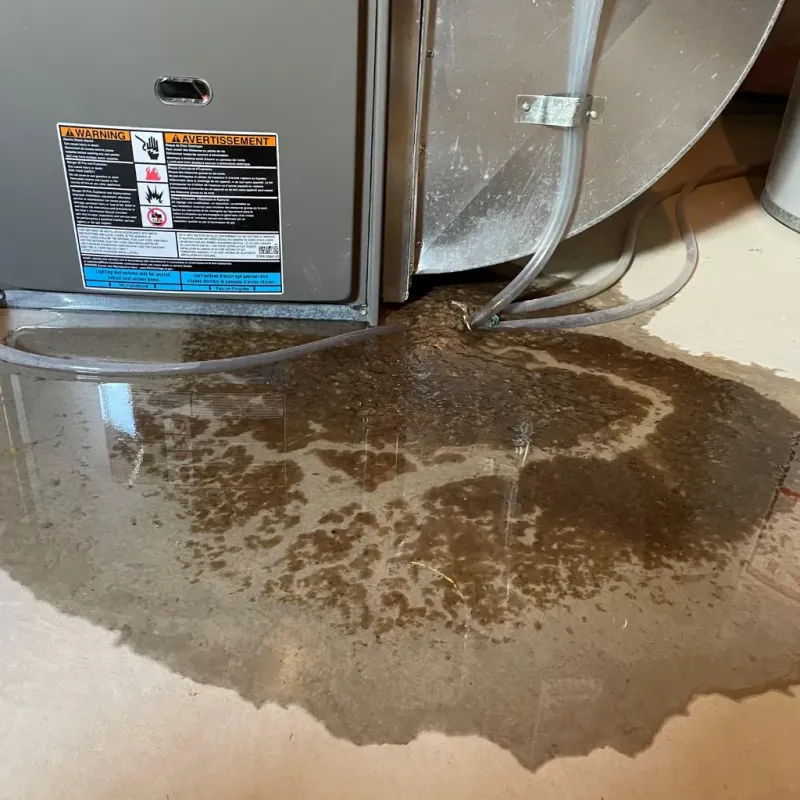 Appliance Leak Cleanup in North Bend, NE